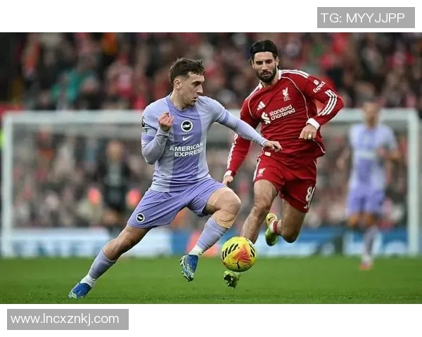 探索索博斯洛伊的历史与文化魅力揭示其在现代社会的独特价值 探索索博斯洛伊的历史与文化魅力揭示其在现代社会的独特价值