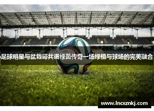 足球明星与盆栽哥共谱绿茵传奇一场绿植与球场的完美融合