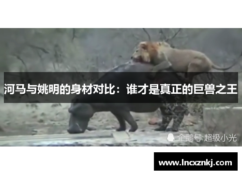 河马与姚明的身材对比：谁才是真正的巨兽之王