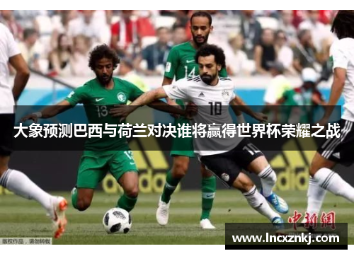 大象预测巴西与荷兰对决谁将赢得世界杯荣耀之战